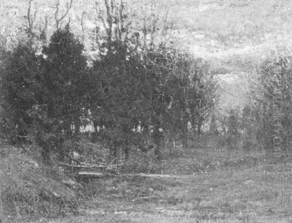 Autumn Twilight In The Woods - view 1
