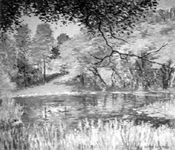 The Spring Pool - view 1
