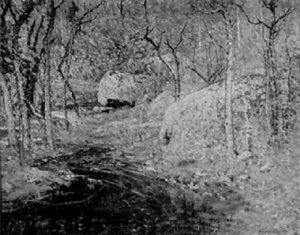 Spring Brook - view 1