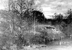 The Pond The Pond