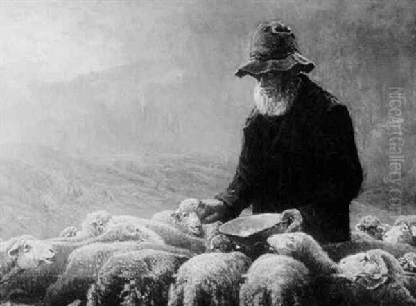 Salting The Sheep - view 1