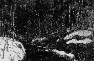 Study Of Snow In Deep Woods Study Of Snow In Deep Woods