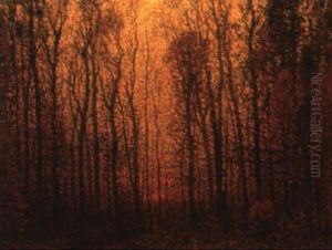 Trees At Sunset Trees At Sunset