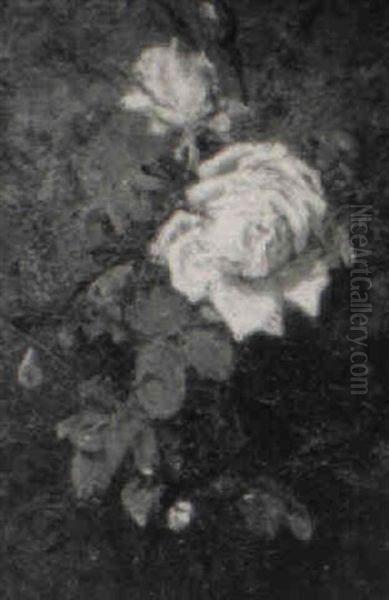 Roses - view 1