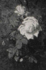 Roses Roses