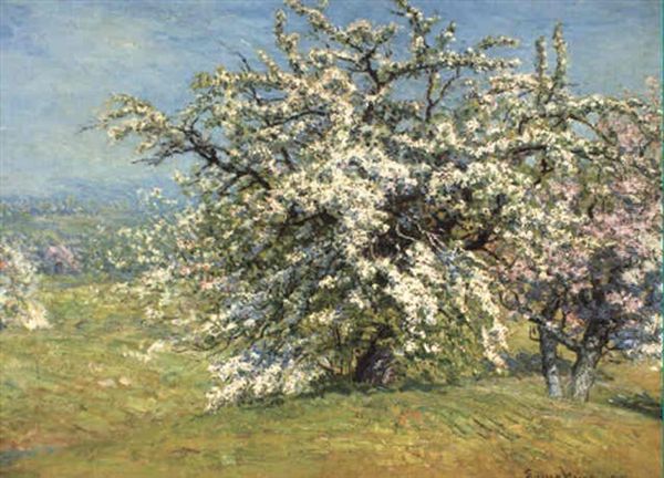 Blooming Meadow - view 1