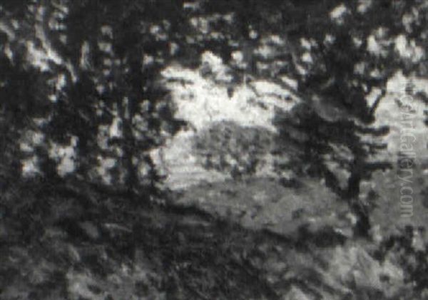 Sunlit Hillside - view 1