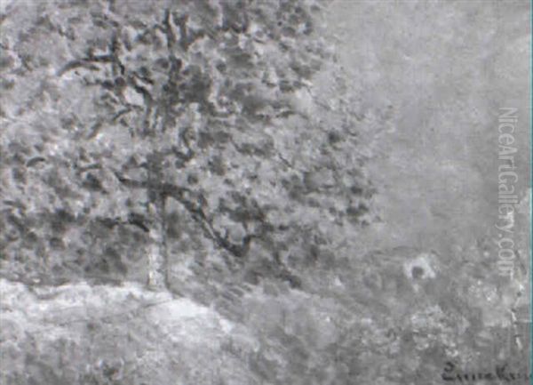 Oak Tree On A Hillside - view 1