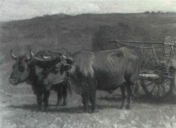 Oxen And Cart In The Field - view 1