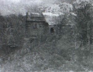 The Cabin