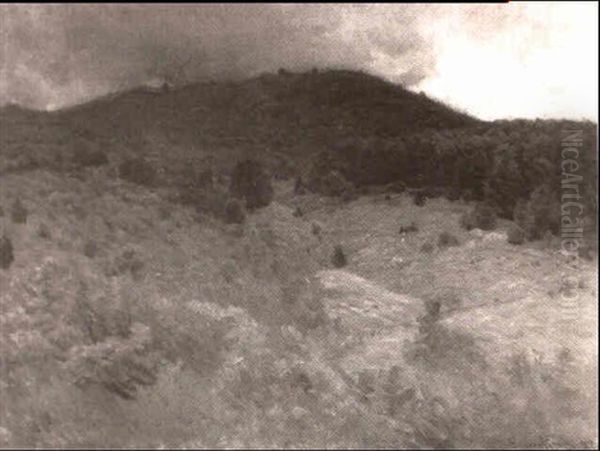Hillside Before A Storm - view 1