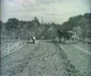 Potato Harvesting