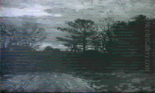Wagon Road In Winter - view 1