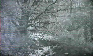Shady Brook by John Joseph Enneking