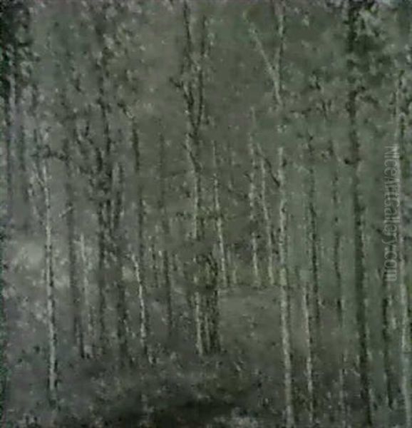 Autumn In The Woods - view 1