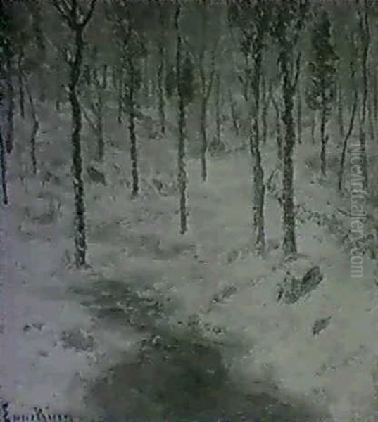 Snow Scene - view 1