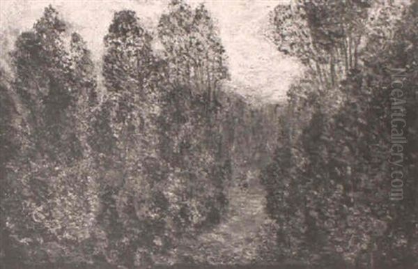 Fall Forest Scene - view 1