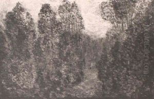 Fall Forest Scene Fall Forest Scene