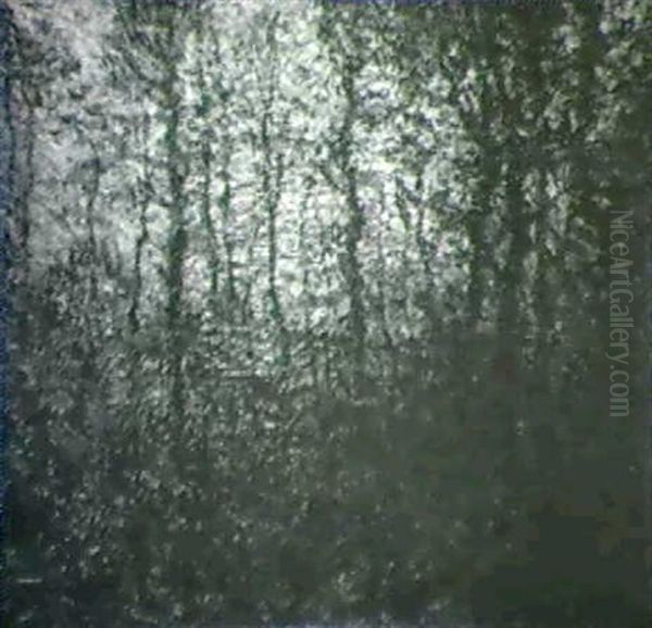 Sunset Through The Trees - view 1
