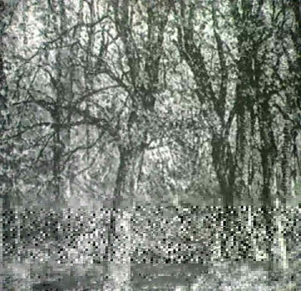 New England Wood And Stream - view 1