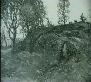 Trees Around A Boulder Trees Around A Boulder
