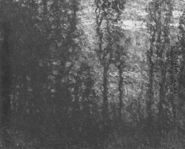 Sunset Through The Trees - view 1