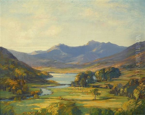 Lush Valley In Evening - view 1