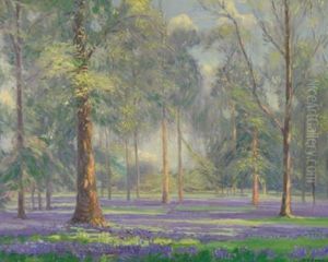 Bluebells