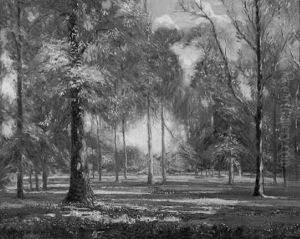 A Summer Glade