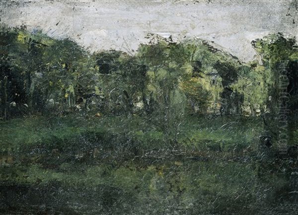 De Rand Van Het Bos - view 1