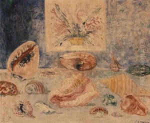 Coquillages Et Plantes Marines by James Ensor