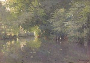 Sous-bois