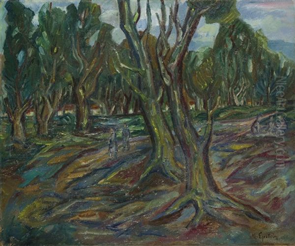 Forest Picnic - view 1