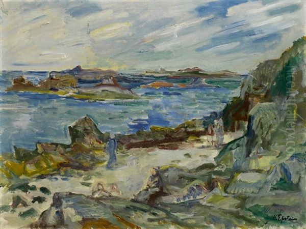 Meereskuste Mit Vorgelagerter Insel - view 1