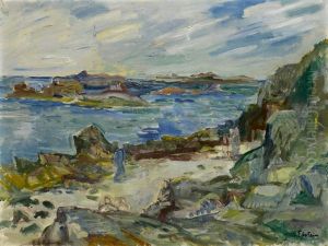 Meereskuste Mit Vorgelagerter Insel
