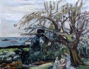Paysage Du Midi