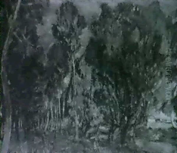 Paysage Boise - view 1