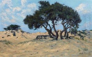 Arbres Dans Les Dunes by Arthur Erarts