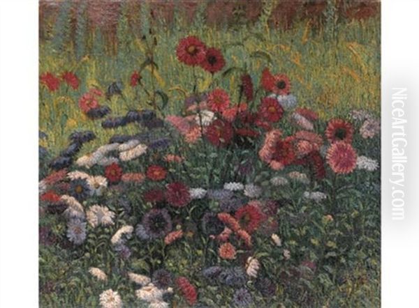 Fiori - view 1