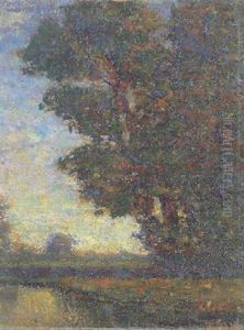 Albero Con Specchio D'acqua