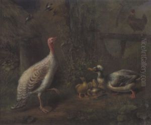 Entenfamilie Und Truthahn In Einem Waldgarten Auf Dem Zaun Ein Huhn