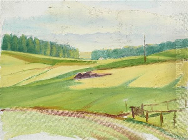 Sonniger Weg. Felder Bei Irschenhausen - view 1