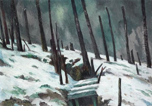 Zerschossener Wald Bei Verdun - view 1
