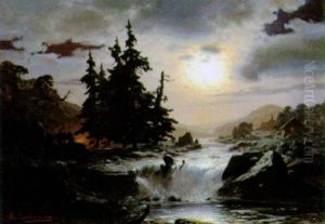Landschaft Im Mondschein