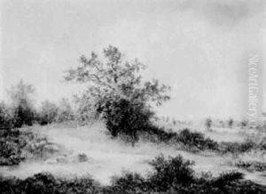 Blick In Weite Baumbestandede Landschaft Blick In Weite Baumbestandede Landschaft