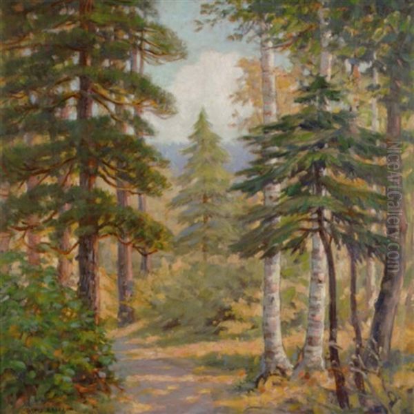 A Forest Interior - view 1