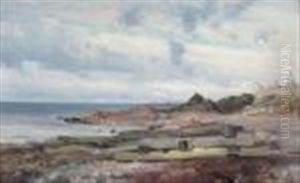 Kustmotiv Med Fiskenat by Johan Ericson