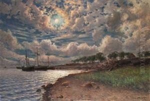 Moonlight Over The Bay by Johan Ericson
