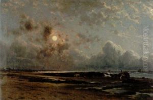 Manskensstrand Med Tangsamlare