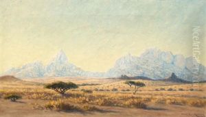 A Verdant Landscape